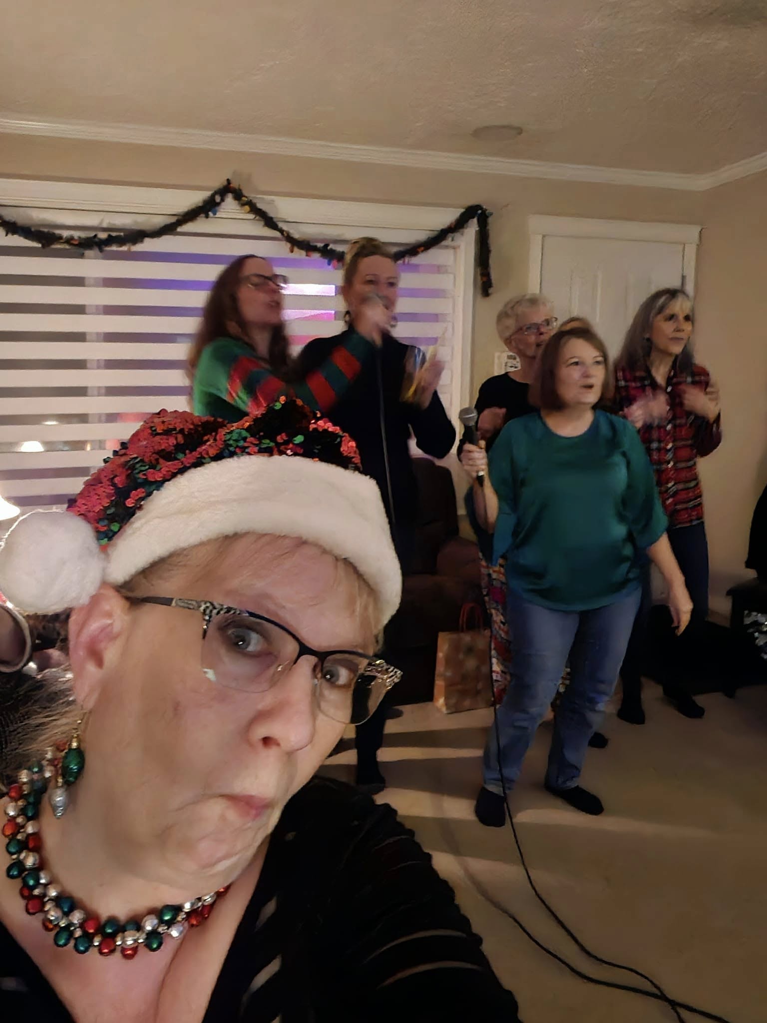 Valley Echoes singing along at a holiday party