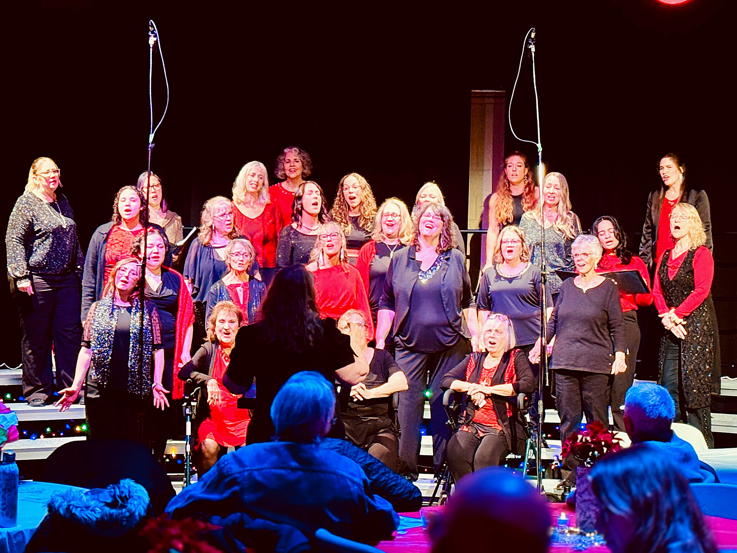 Valley Echoes Chorus performing at Winter Harmonies 2025